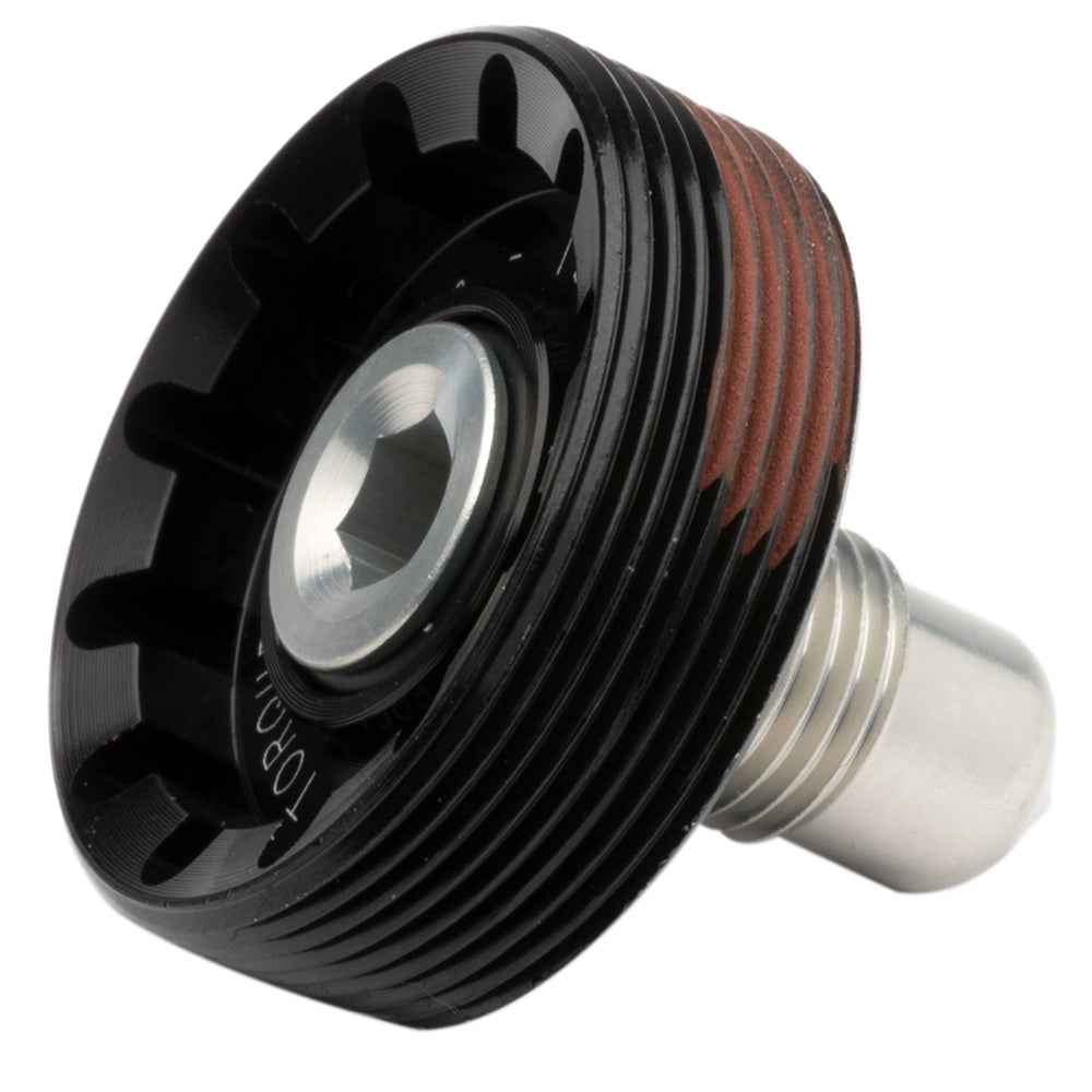Cannondale Lefty SuperMax Axle Cap and Bolt Black