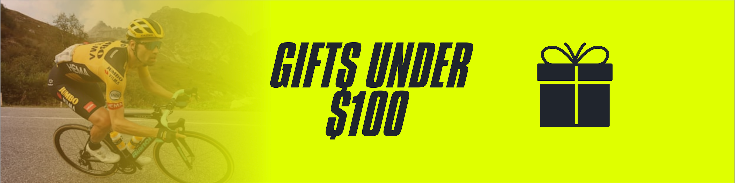 Gifts under $100