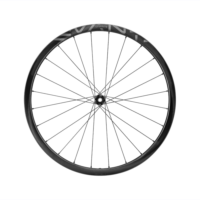 Campagnolo Levante Front and Rear Rim 
