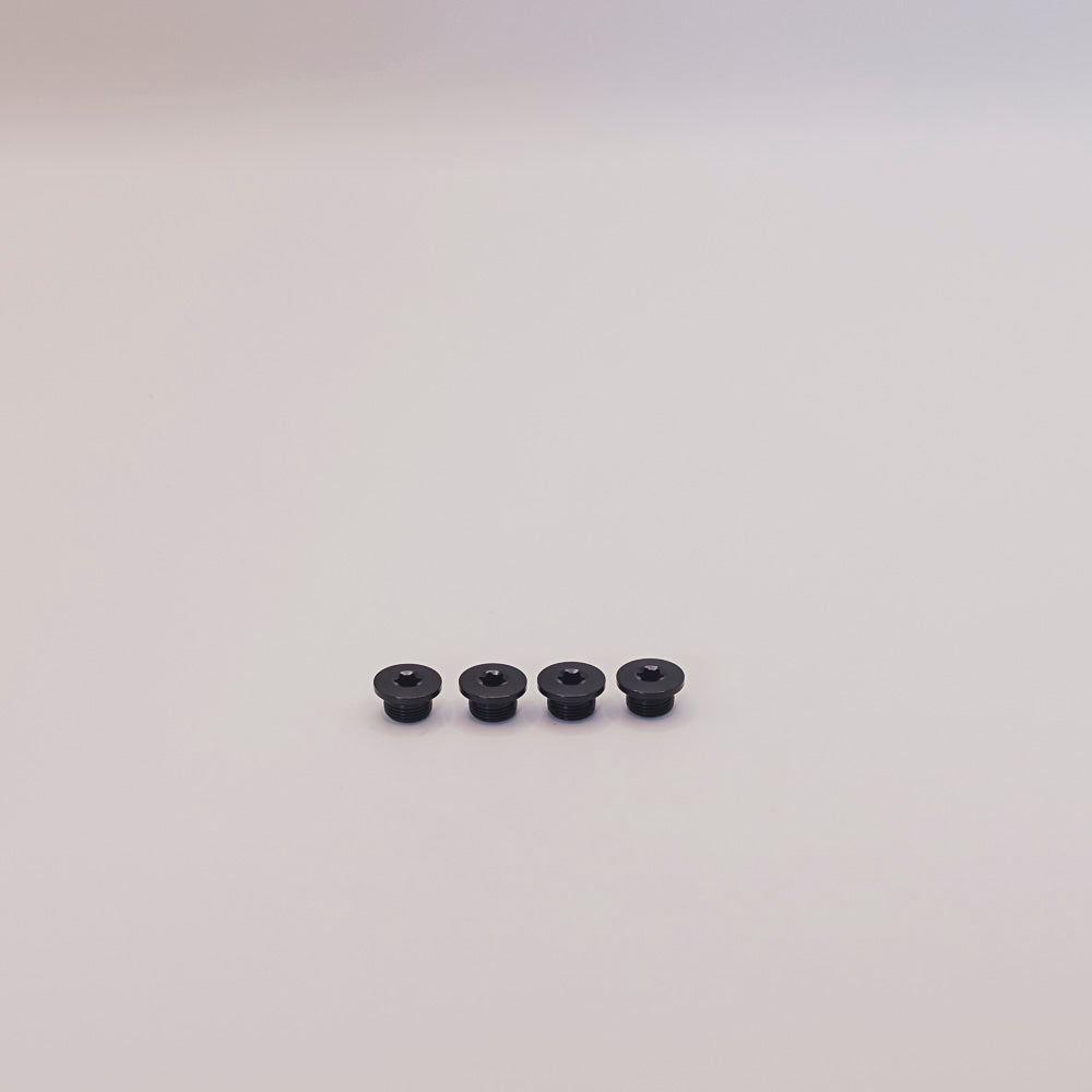 Campagnolo Chainring Bolt Set for EKAR- 4 Pack FC-EK100