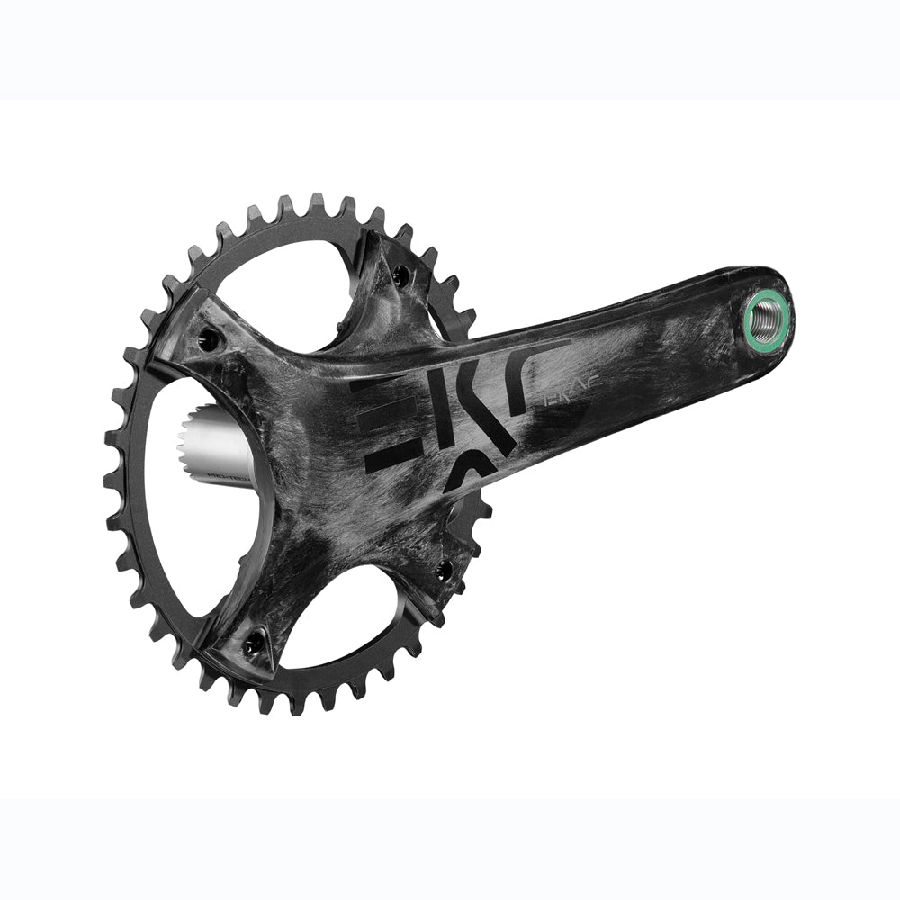 Campagnolo EKAR 13 Speed Crankset 175mm 42 Tooth 
