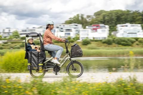 Tern Storm Shield Mini