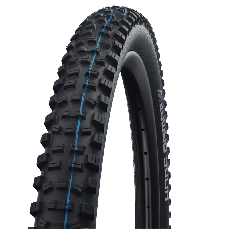 Schwalbe Tyre Hans Dampf