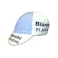 Apis Cap