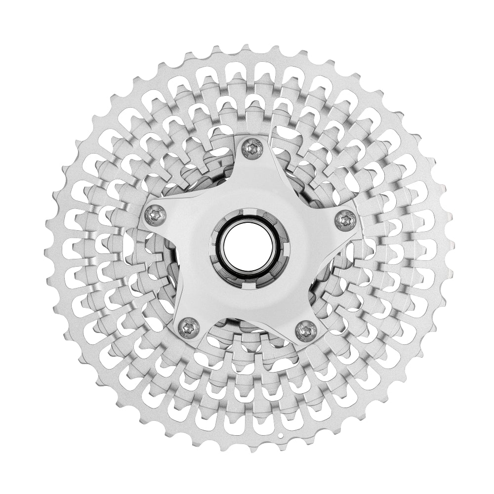 Campagnolo Ekar Cassette Back