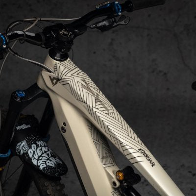 Dyedbro Ebike Frame Protection Stayfree